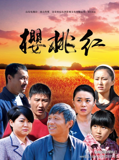 櫻桃電視劇全集38集，勵(lì)志路上的正能量與歡笑，自信與成就感的源泉視頻呈現(xiàn)