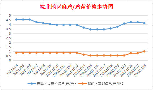 今日皖北麻雞價格走勢及小巷深處的味覺奇遇