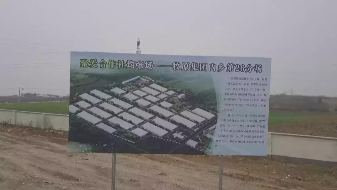 廣東豬場最新招聘信息，科技智能養(yǎng)殖，開啟未來新篇章