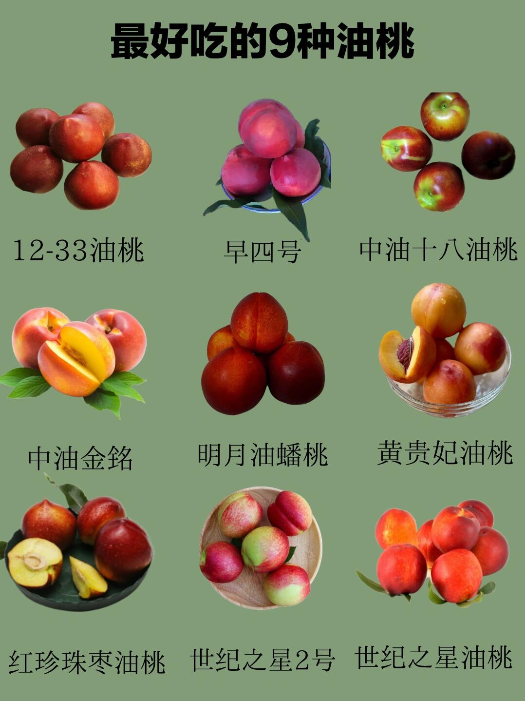 油桃新品種全面解析，最新油桃品種介紹