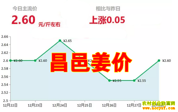 昌邑大姜今日最新價(jià)格及小巷獨(dú)特風(fēng)味探索之旅