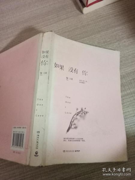 如果沒(méi)有你最新章節(jié)及其深度解析