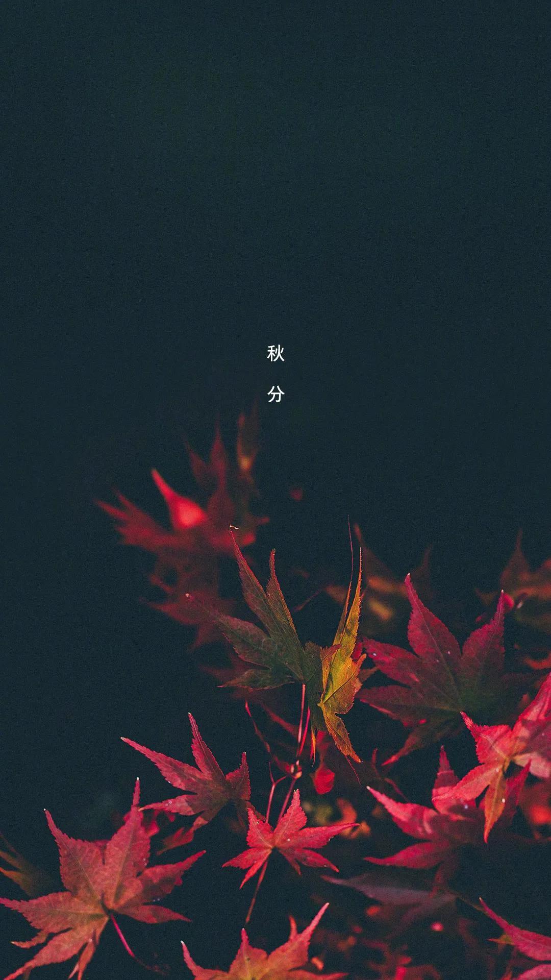 魁族最新手機，時代寵兒之選
