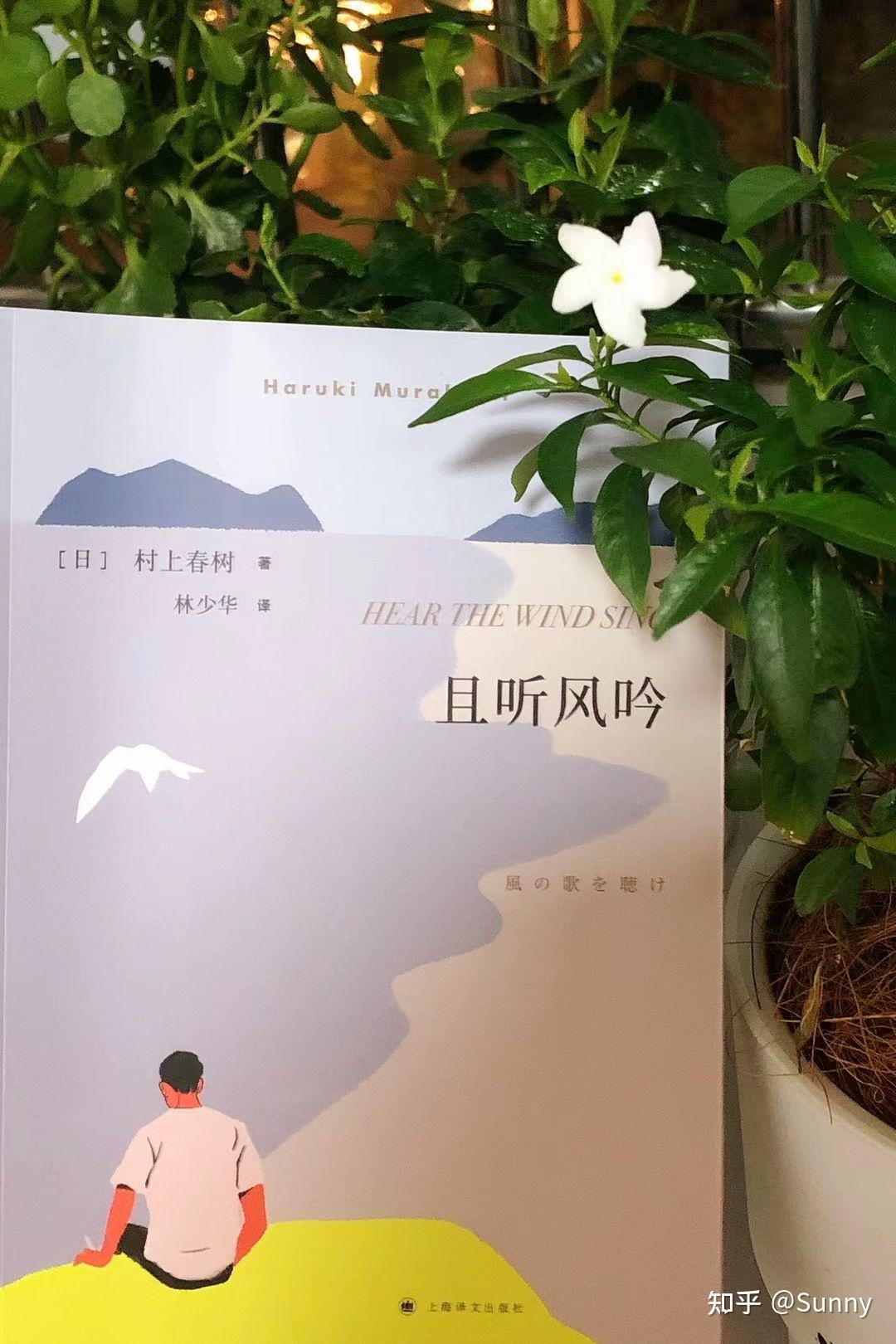 側(cè)耳聽風最新小說，奇幻之旅探索神秘世界