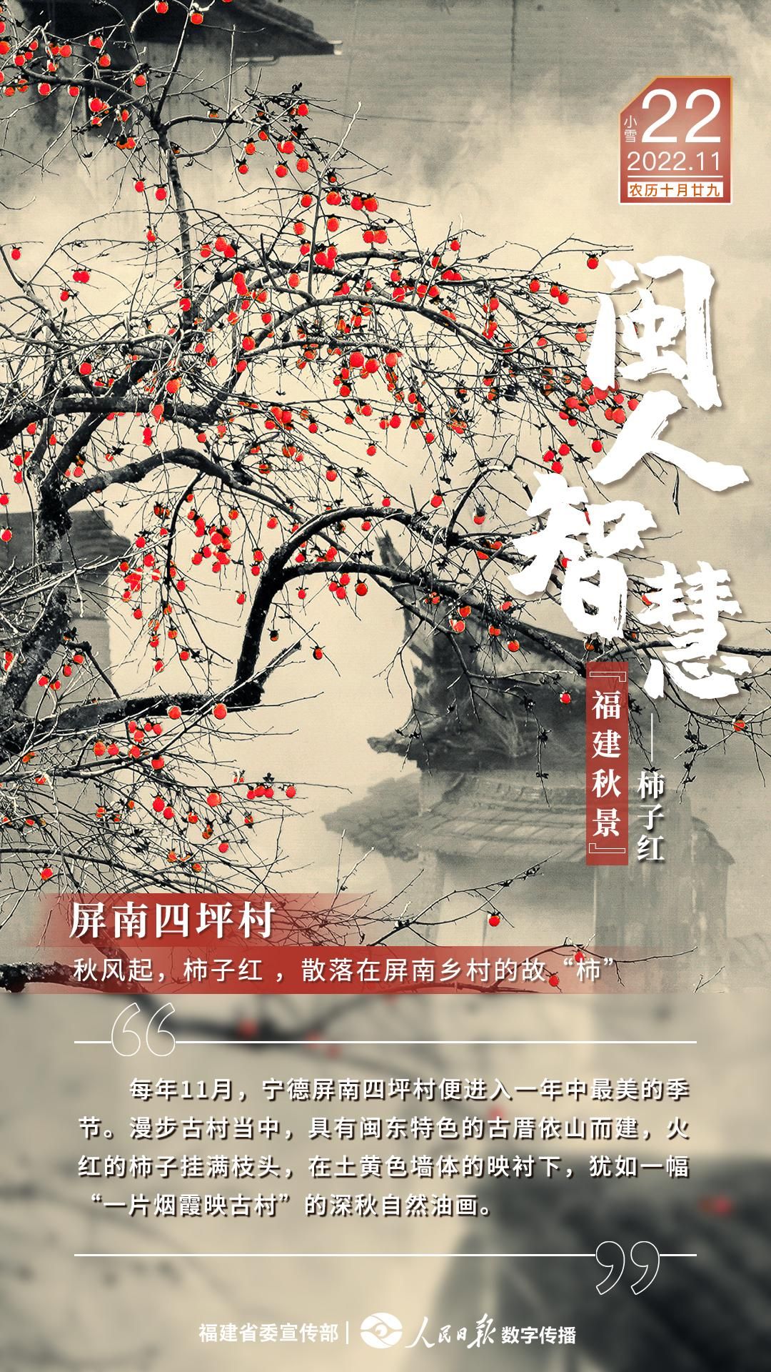 屏南論壇最新動態(tài)，小巷深處的驚喜——特色小店揭秘