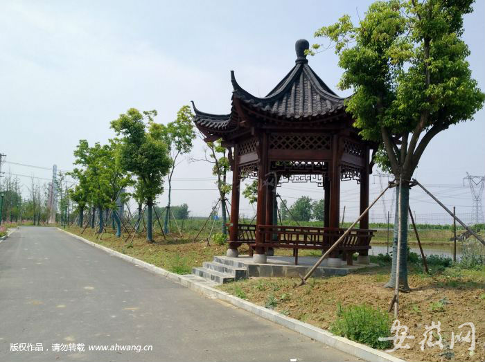吳山至南崗最新動態(tài)，砥礪前行，自信成就未來之路