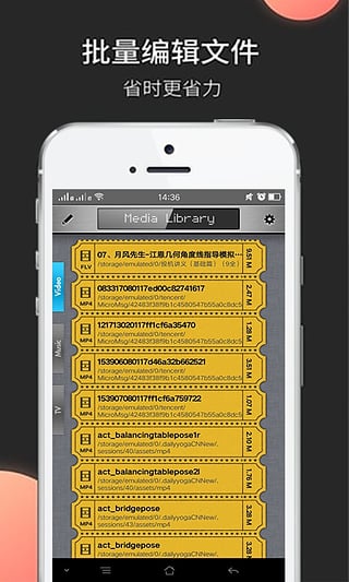WiboxLS 4.3最新版下載，時(shí)代里程碑與行業(yè)翹楚