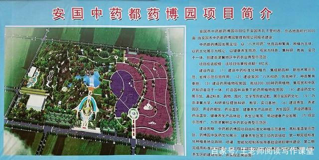 安國(guó)藥都新城最新動(dòng)態(tài)深度解析，最新進(jìn)展與觀點(diǎn)論述