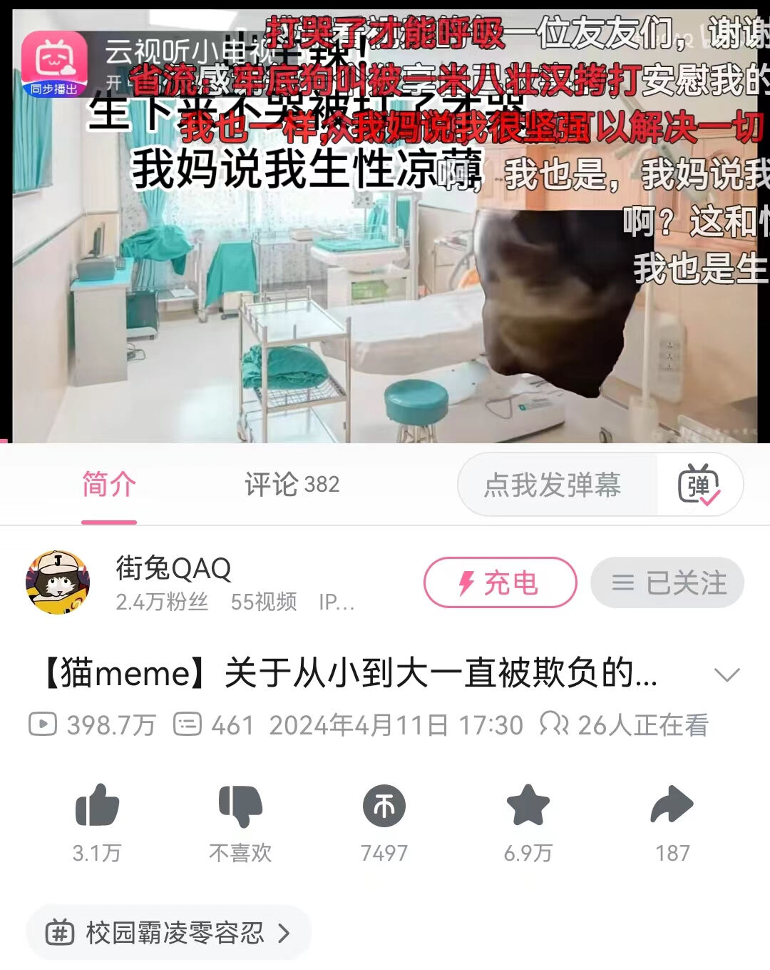尋找大貓，最新最火資訊一網(wǎng)打盡