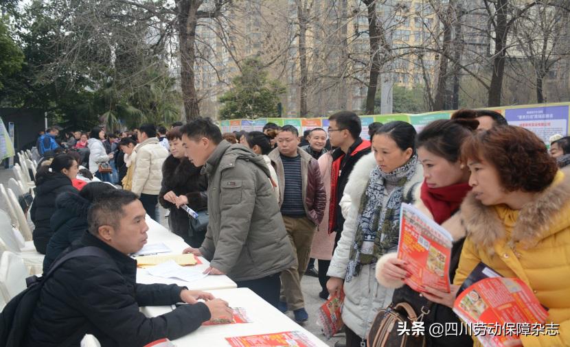 金堂最新招聘信息，職場機遇與友情的溫暖交匯