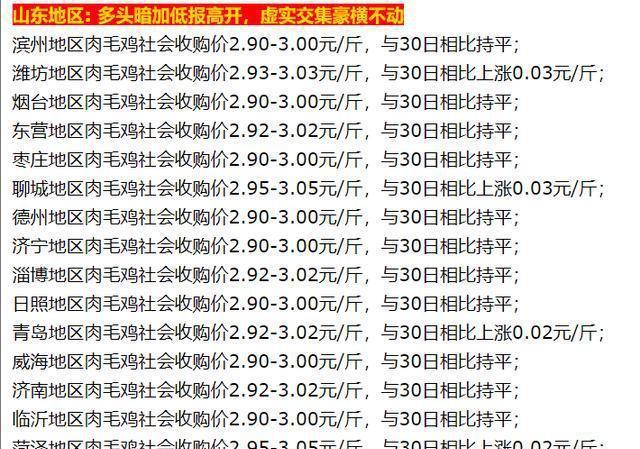 今日山東毛雞最新價格