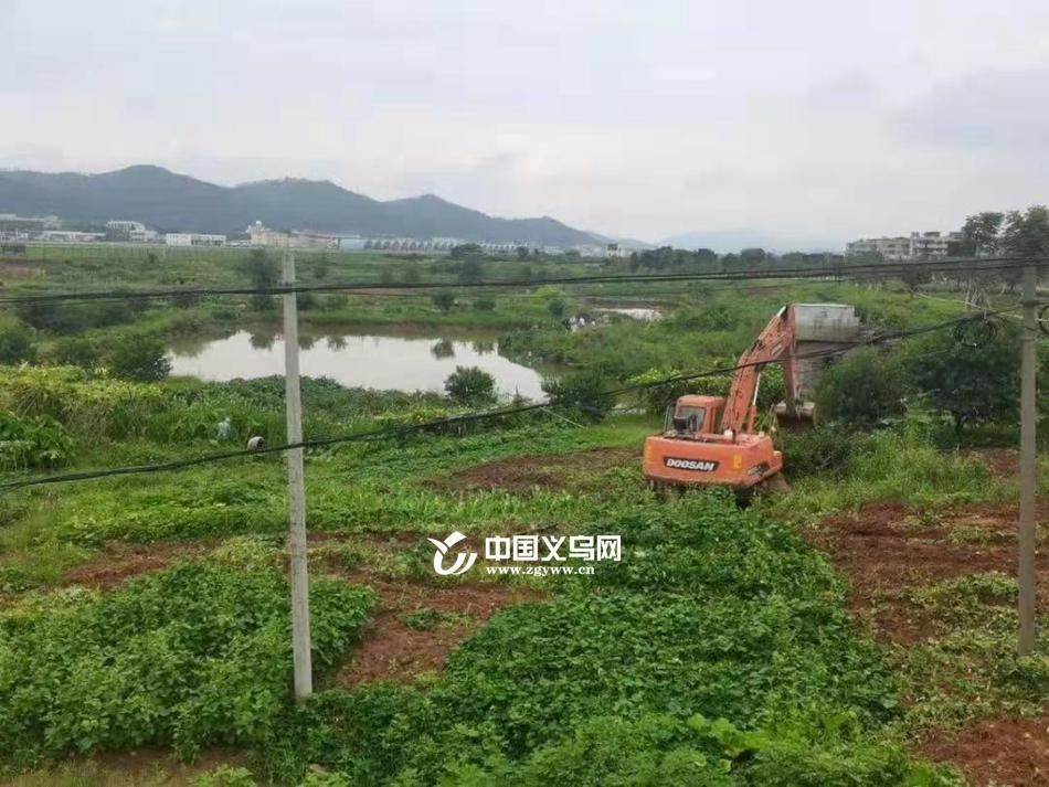 義烏北苑柳青，最新新聞、日常趣事與友情的溫暖紐帶報(bào)道