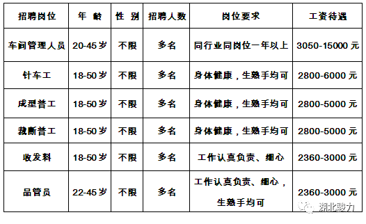 松滋新江口最新招工探索，小巷中的職業(yè)機遇