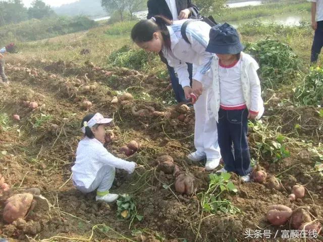 富順縣縣領(lǐng)導(dǎo)最新分工概況