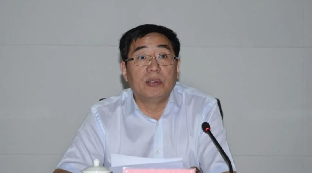 甘肅楊子興最新動(dòng)態(tài)更新，最新情況分析