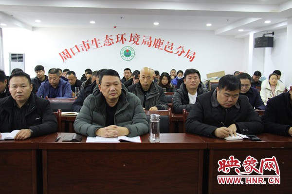 周口宋志軍最新動態(tài)揭秘，日常趣事與情感紐帶全記錄