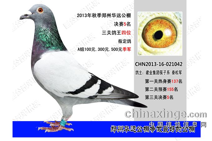 鄭州華遠(yuǎn)公棚最新公告發(fā)布，關(guān)注最新動(dòng)態(tài)與通知