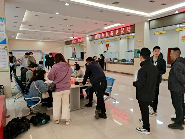 陜西鳳翔最新招聘信息詳解