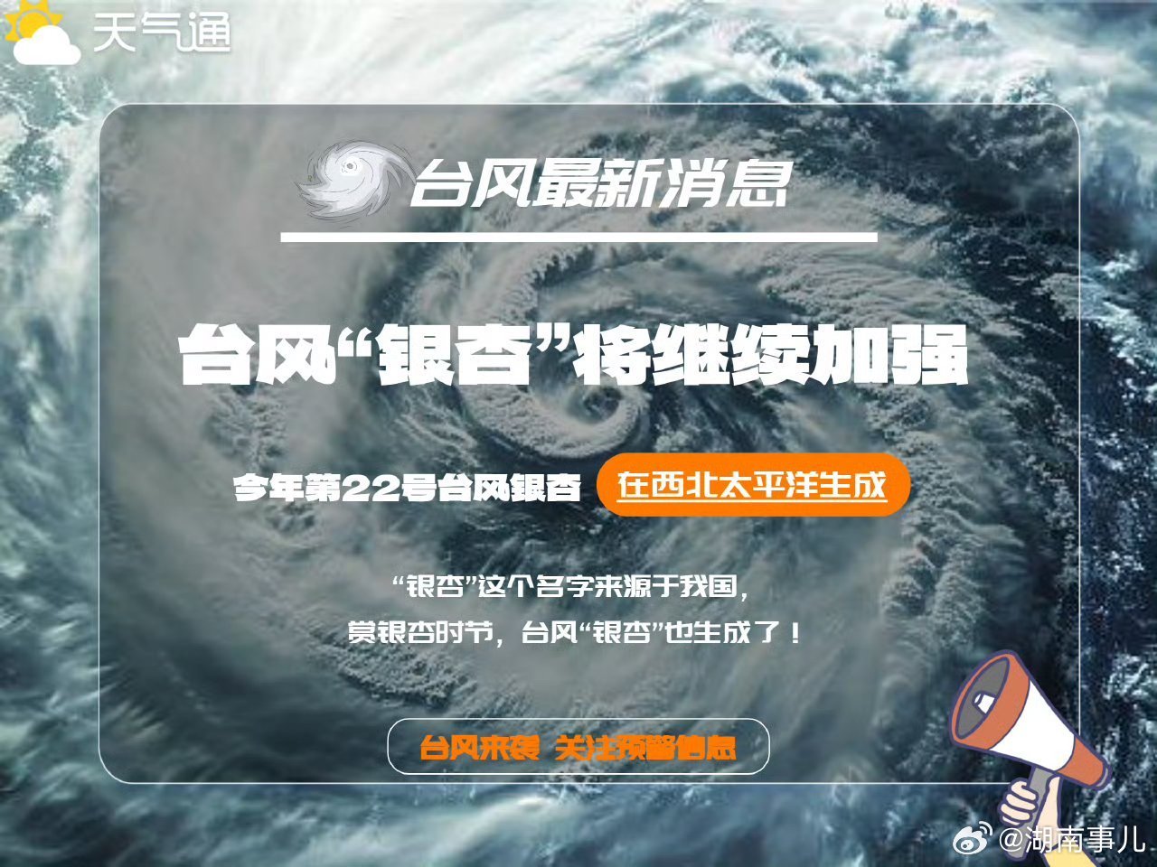 溫暖臺風最新動態(tài)及小巷深處的獨特風味