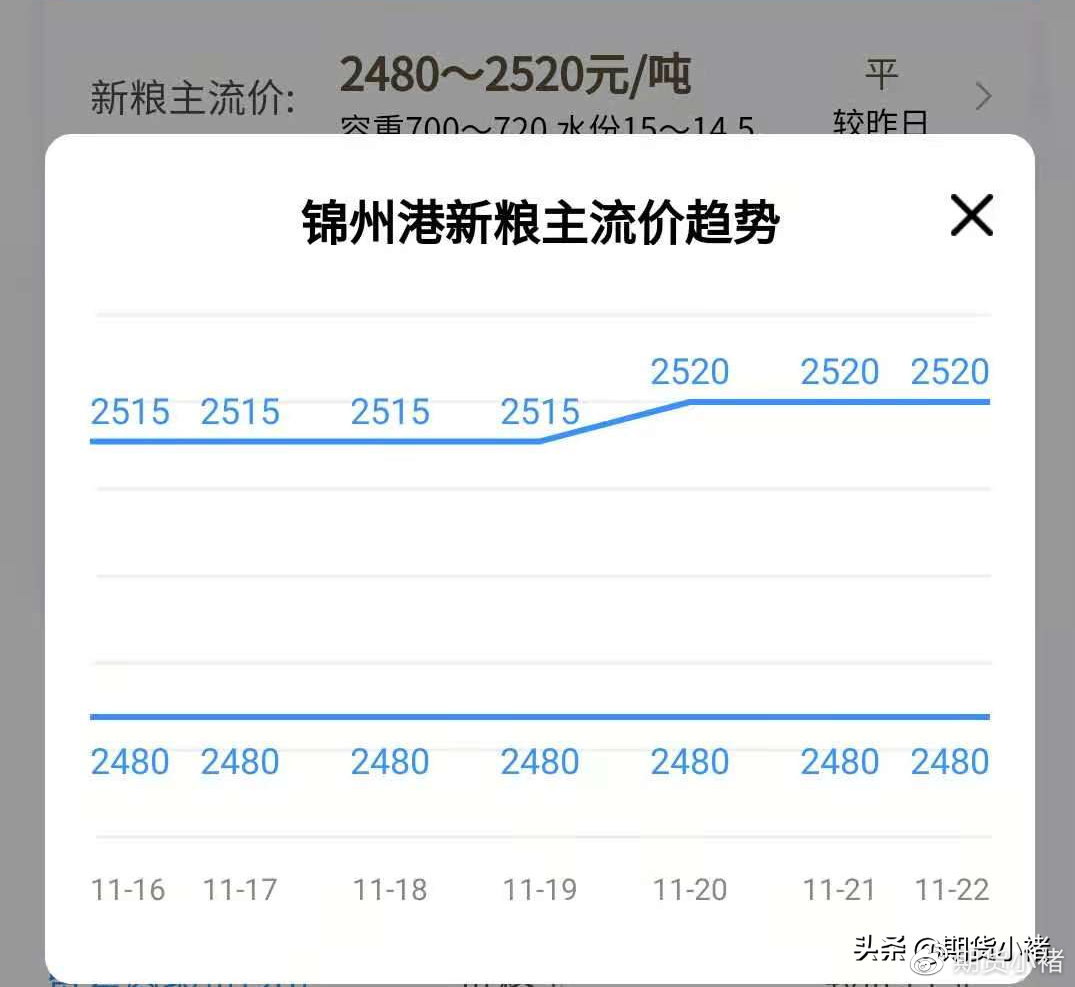 錦州港玉米最新價(jià)格揭秘，港畔的玉米情緣探秘